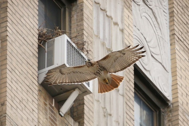 Air Conditioners